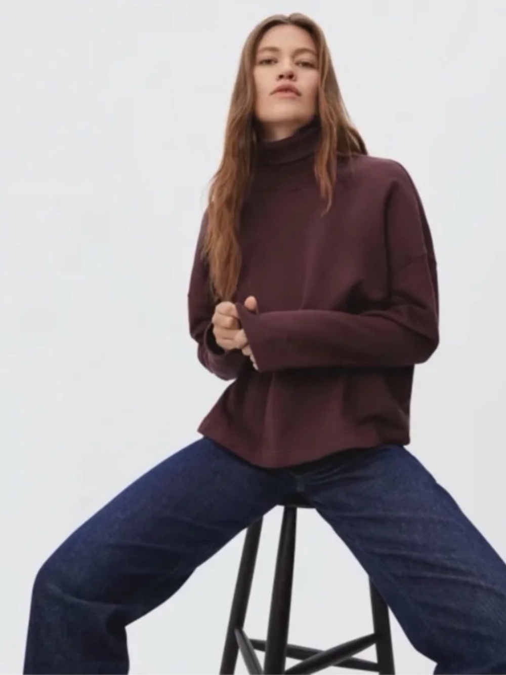 Everlane 100% Cotton Turtleneck Sweatshirt in Espresso (Small)